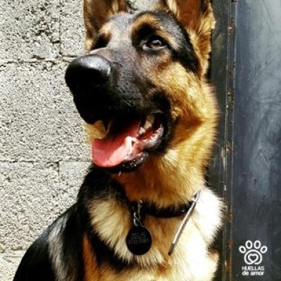 Zeus